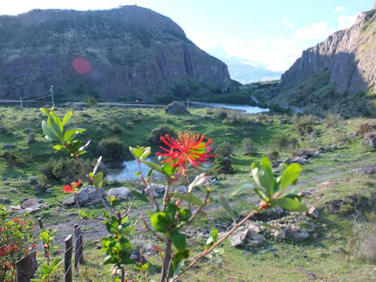 Domo Carpe Diem Patagonia Coyhaique Exteriér fotografie