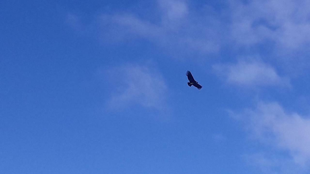 Domo Carpe Diem Patagonia Coyhaique Exteriér fotografie